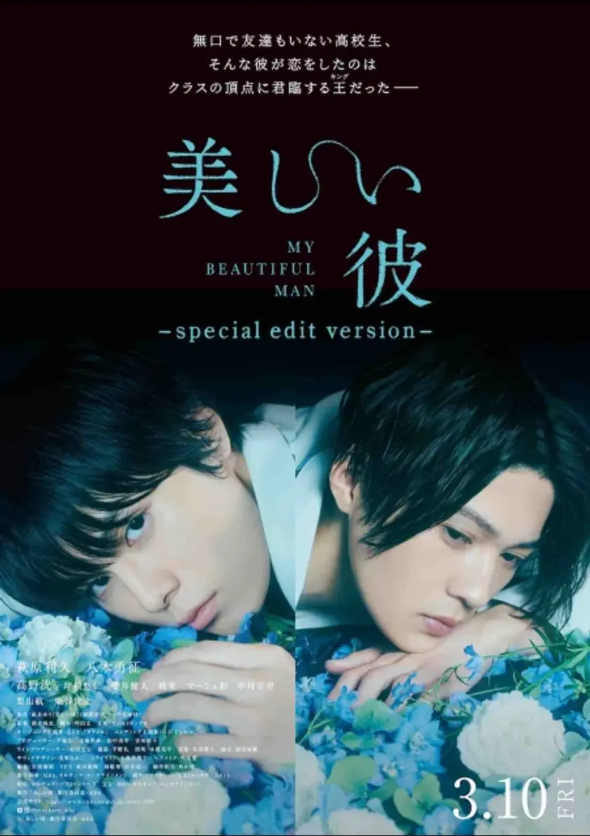 美しい彼～special edit version～ ポスター