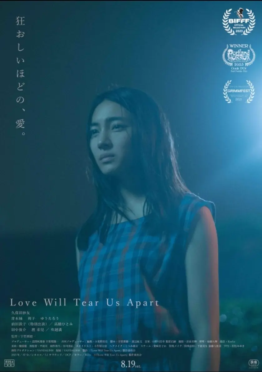 Love Will Tear Us Apart ポスター