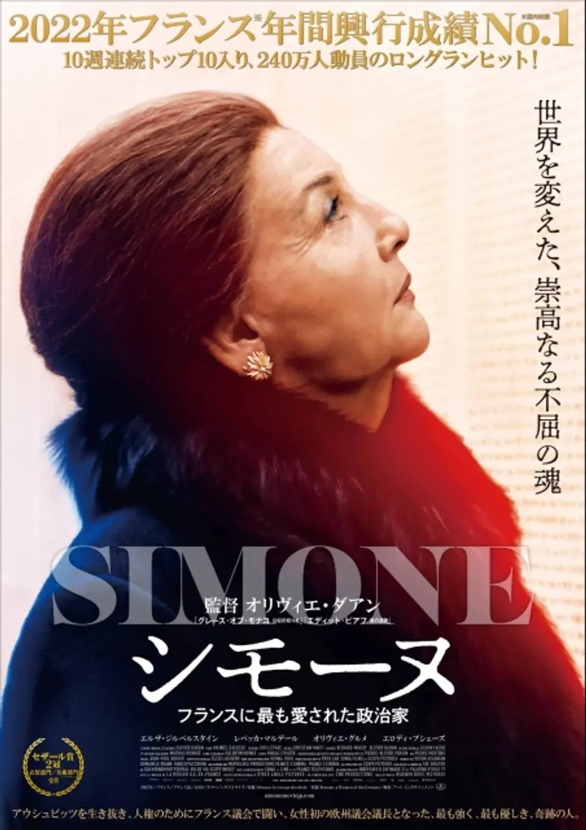 シモーヌ フランスに最も愛された政治家 ポスター