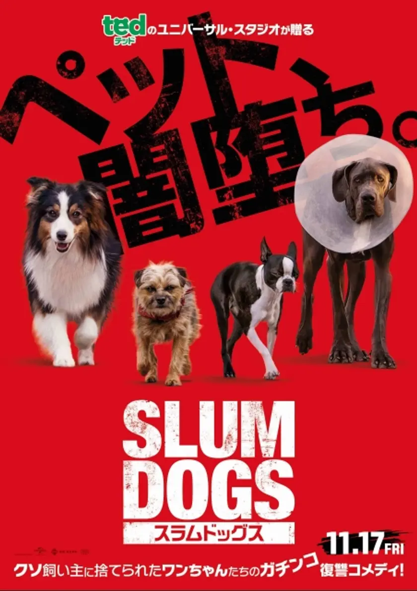 スラムドッグス ポスター