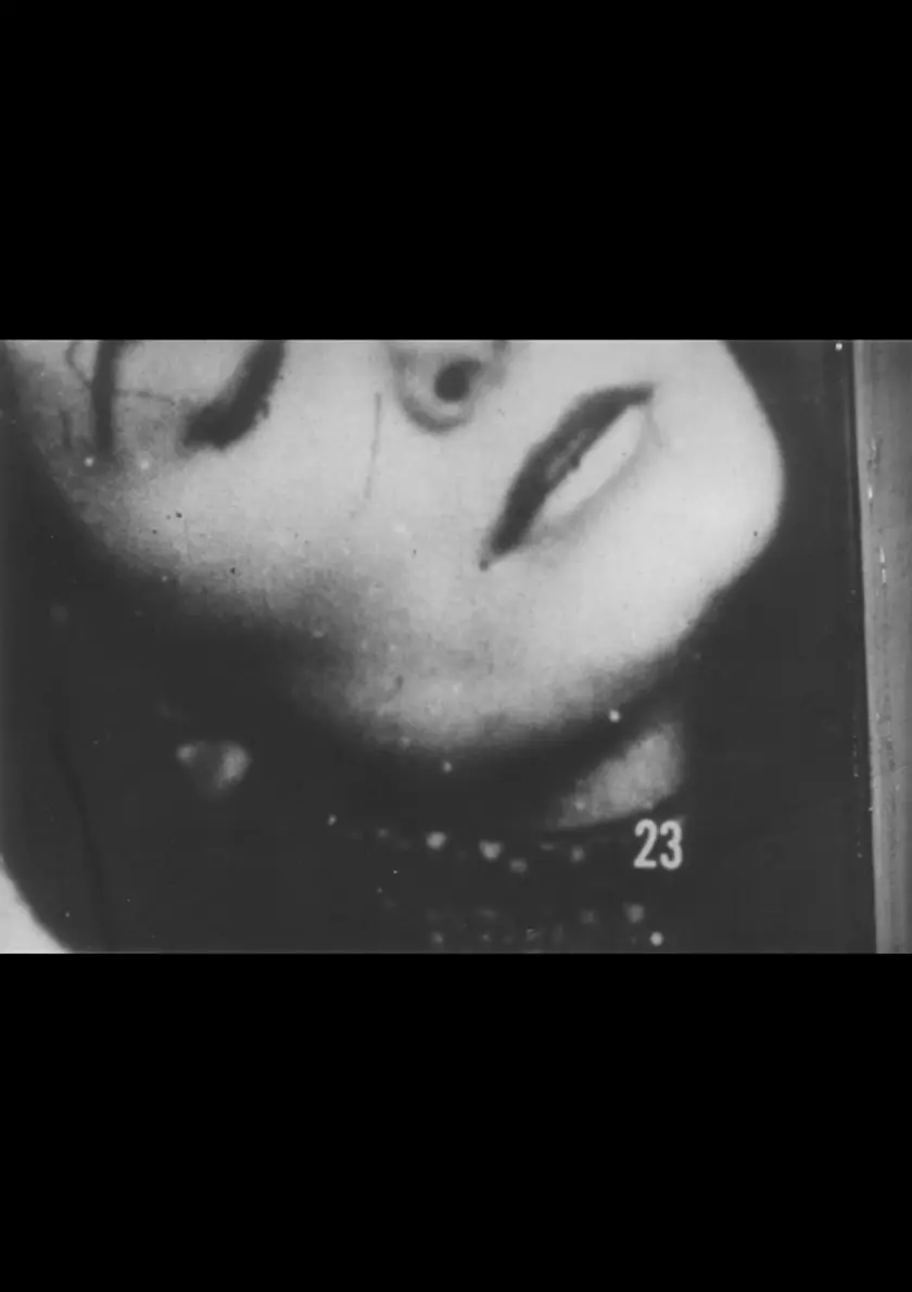 Le cinéma（映画）／我が映画旋律／MOVIE WATCHING／写真を刻む／映画する人／浸透画／ストップ・モーション／INGAの世界／私家版・歩く人／5mmフィルム（2023年度復刻版） ポスター