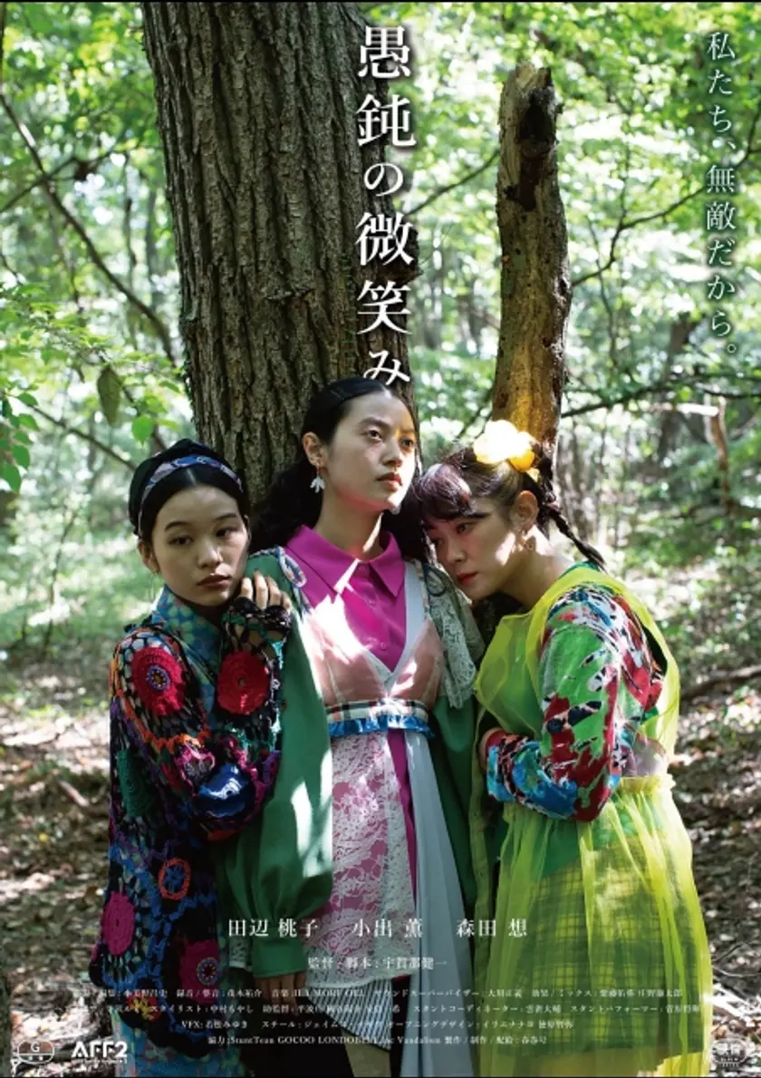 愚鈍の微笑み ポスター