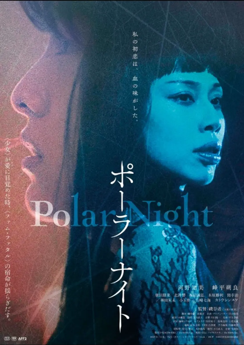 Polar Night ポスター
