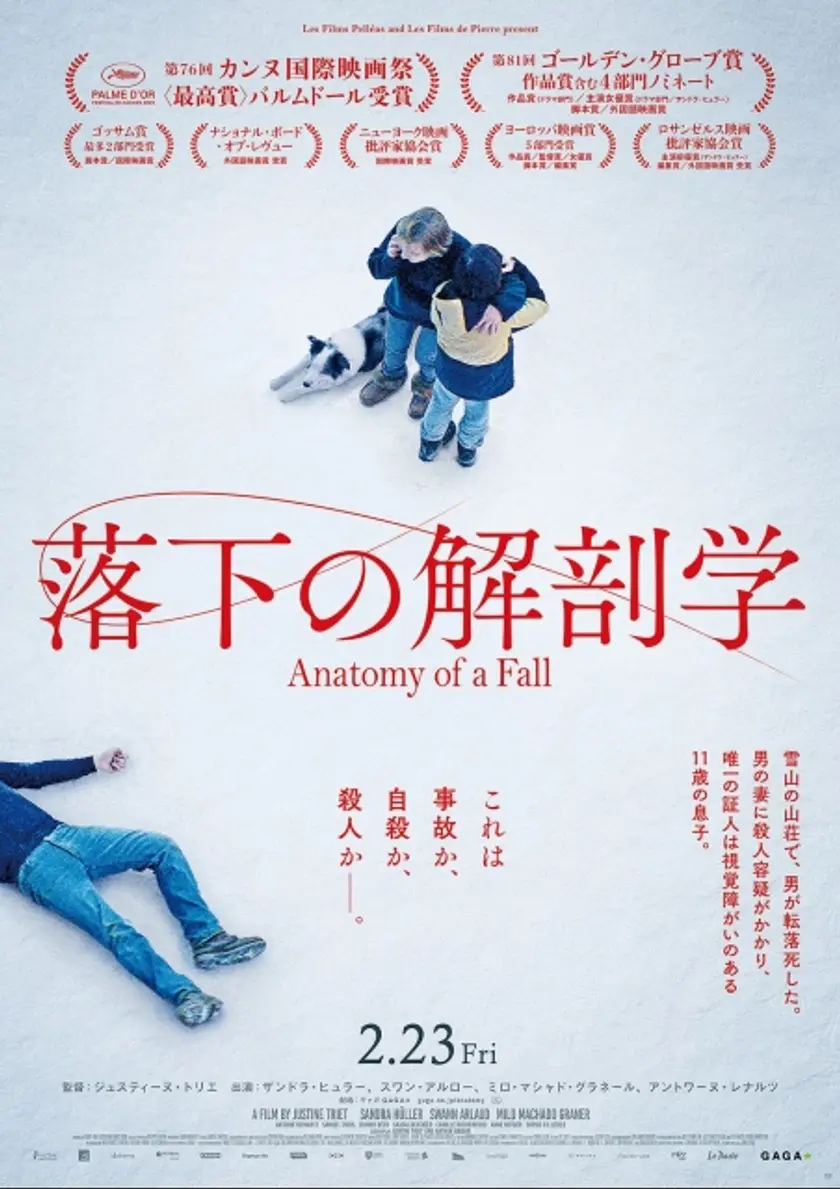 落下の解剖学 ポスター