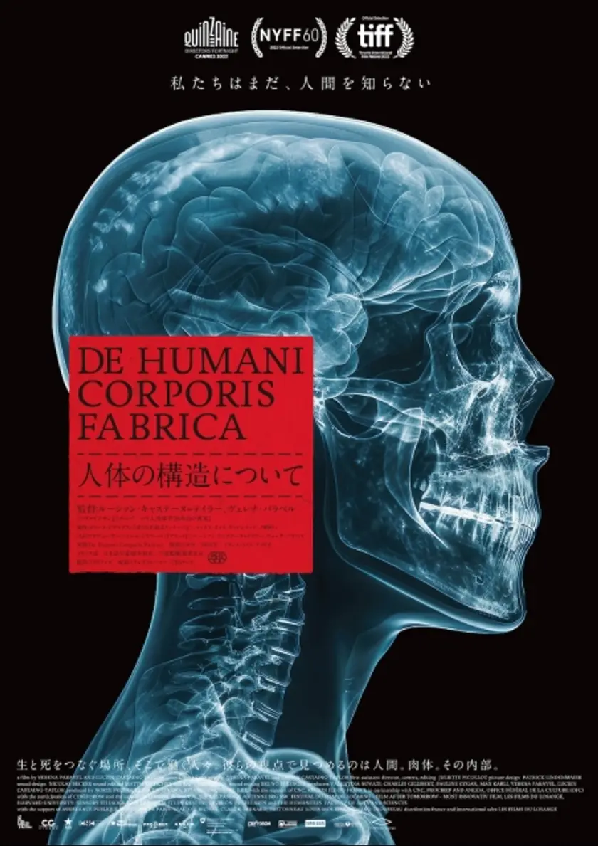 人体の構造について ポスター