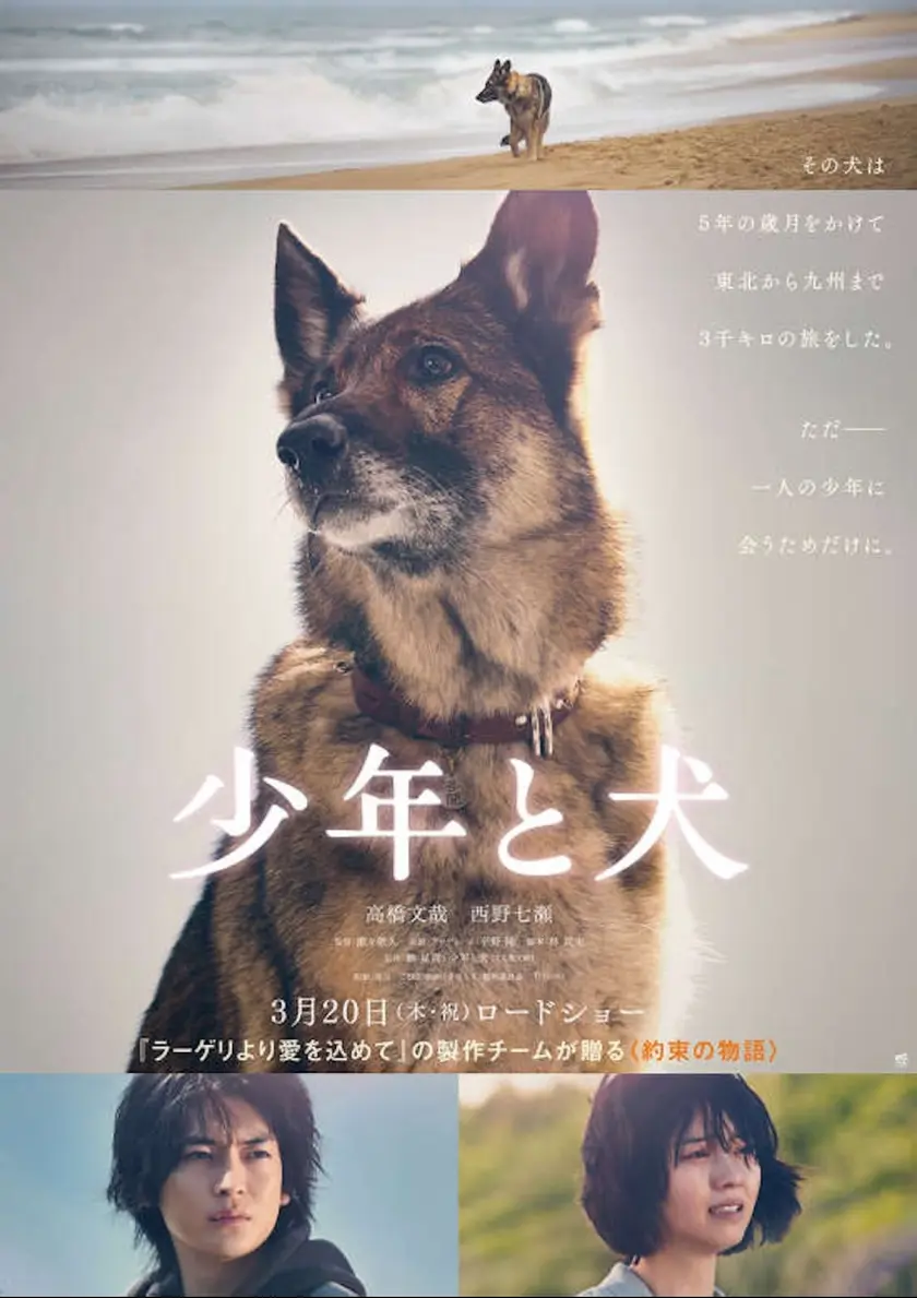 映画　少年と犬（2025） ポスター