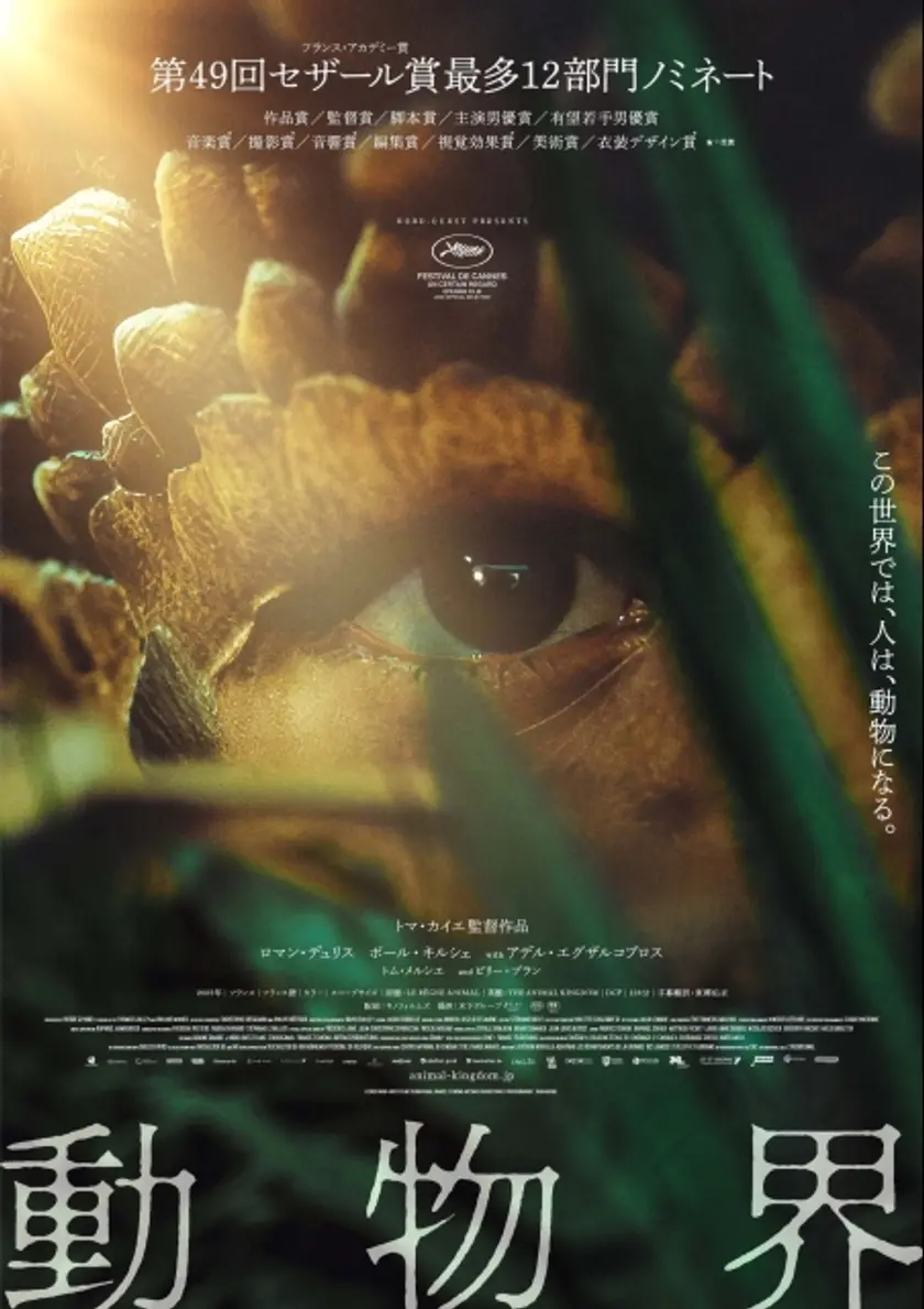 動物界 ポスター