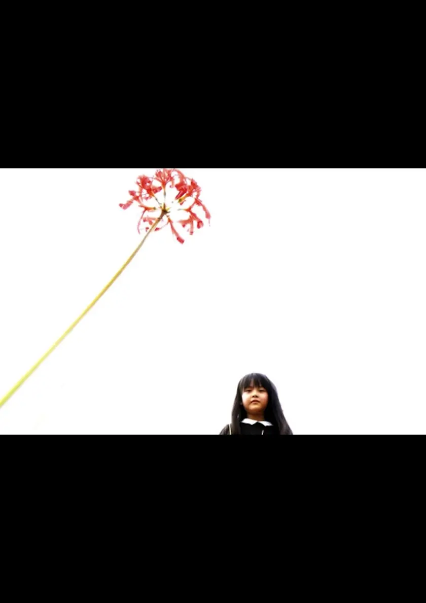 《東京ドキュメンタリー映画祭2024／家と故郷》 ポスター