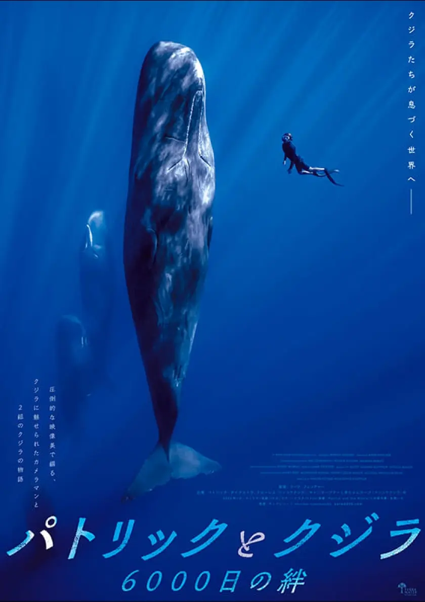 パトリックとクジラ 6000日の絆 ポスター