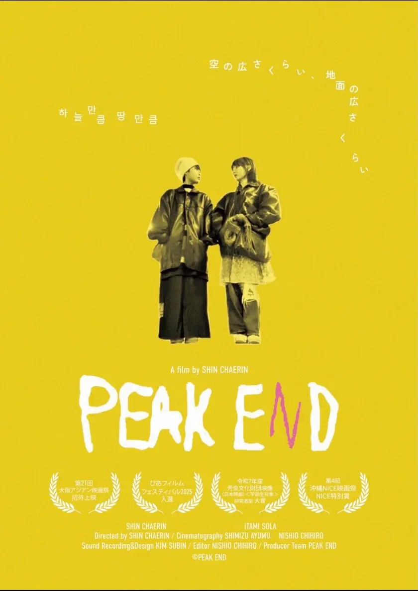 PEAK END ポスター