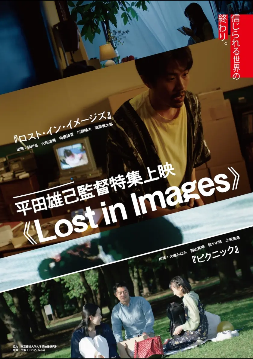 ピクニック／ロスト・イン・イメージズ ポスター