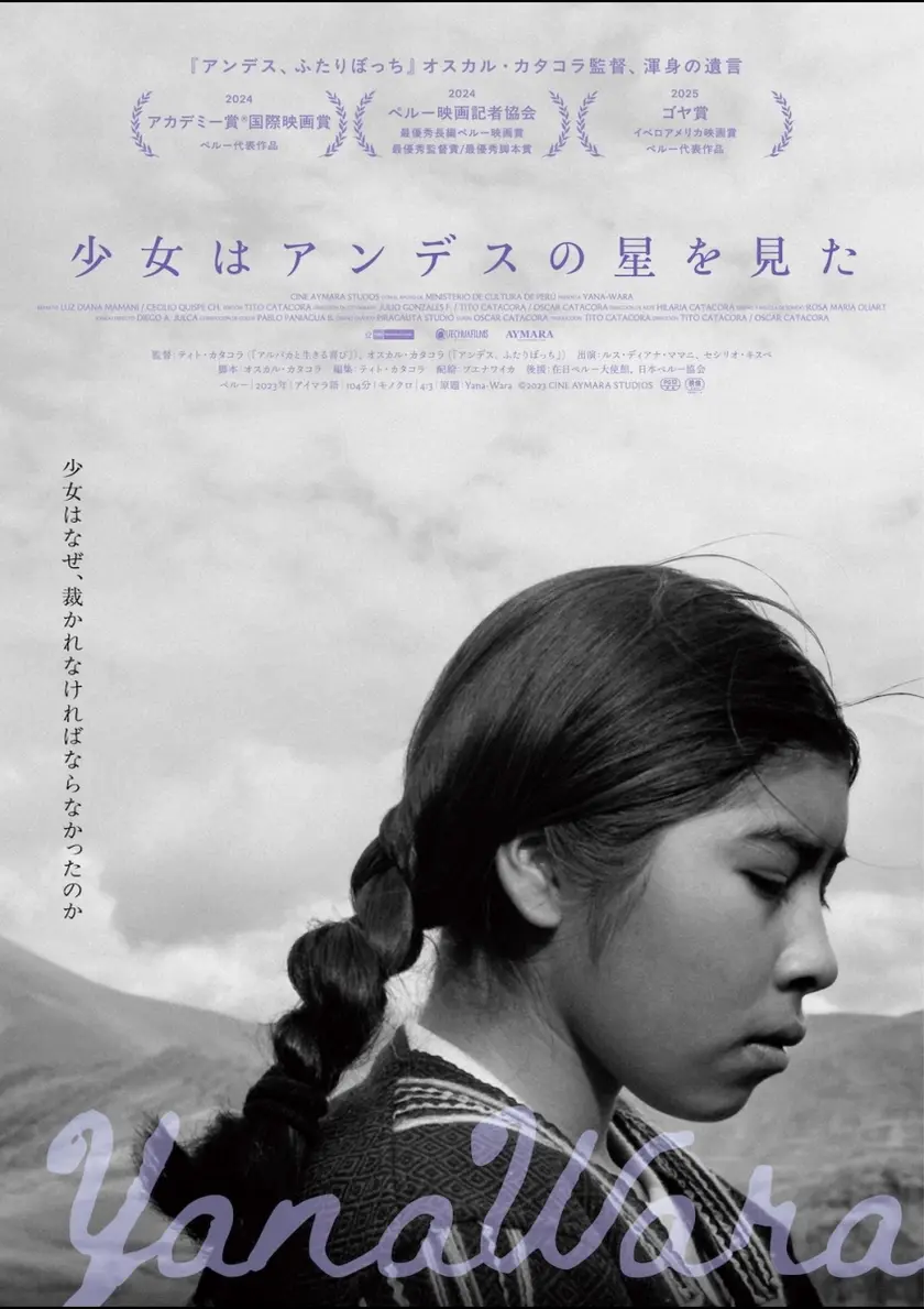 少女はアンデスの星を見た ポスター