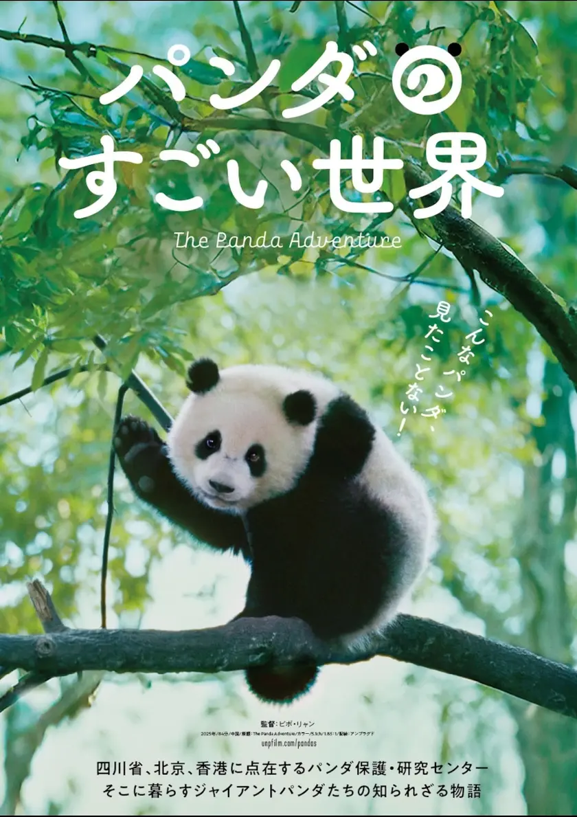 パンダのすごい世界 ポスター