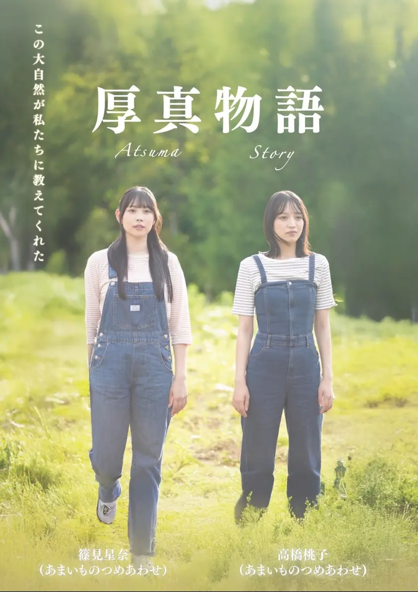 厚真物語 ポスター