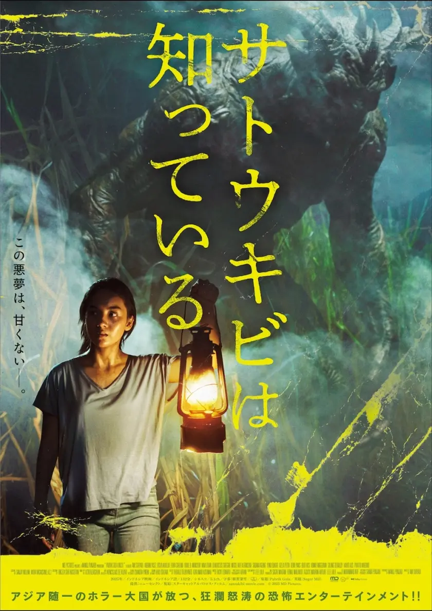 サトウキビは知っている ポスター