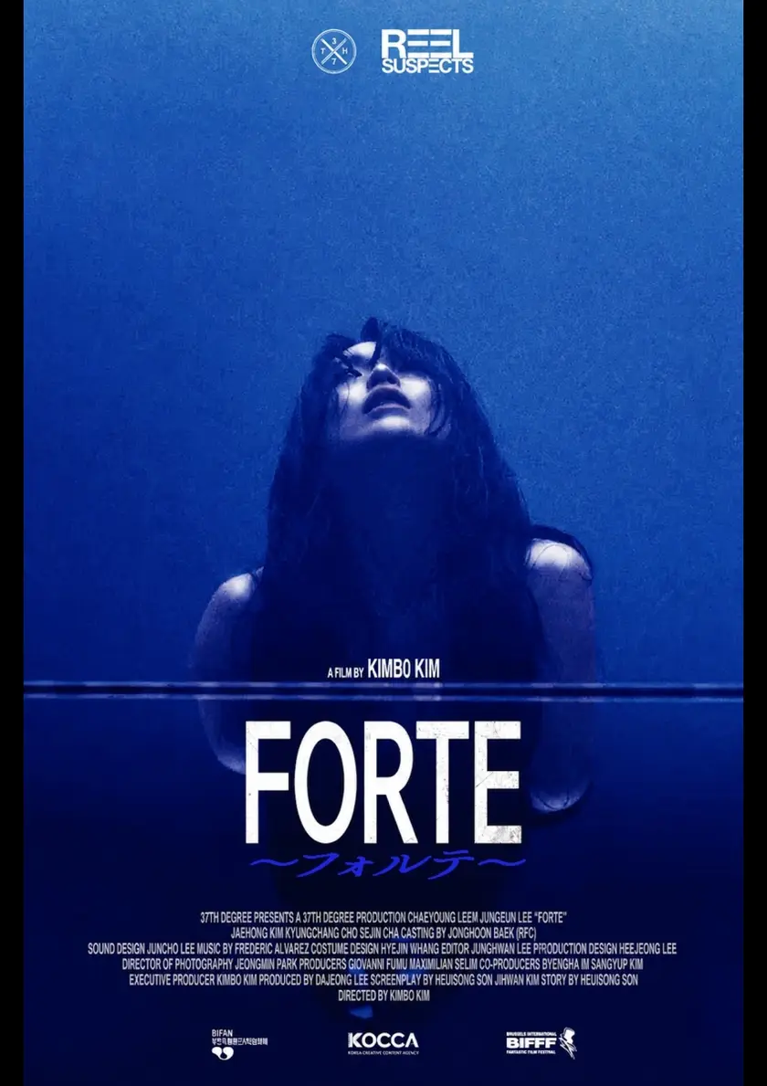Forte～フォルテ～ ポスター