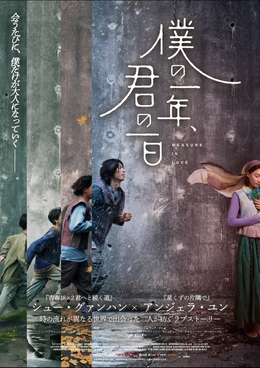 僕の一年、君の一日 ポスター