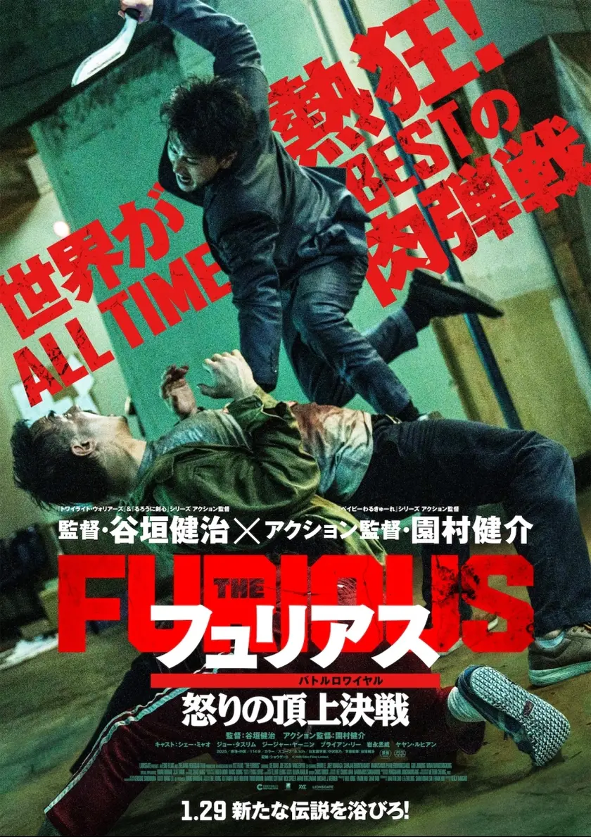 フュリアス 怒りの頂上決戦 ポスター