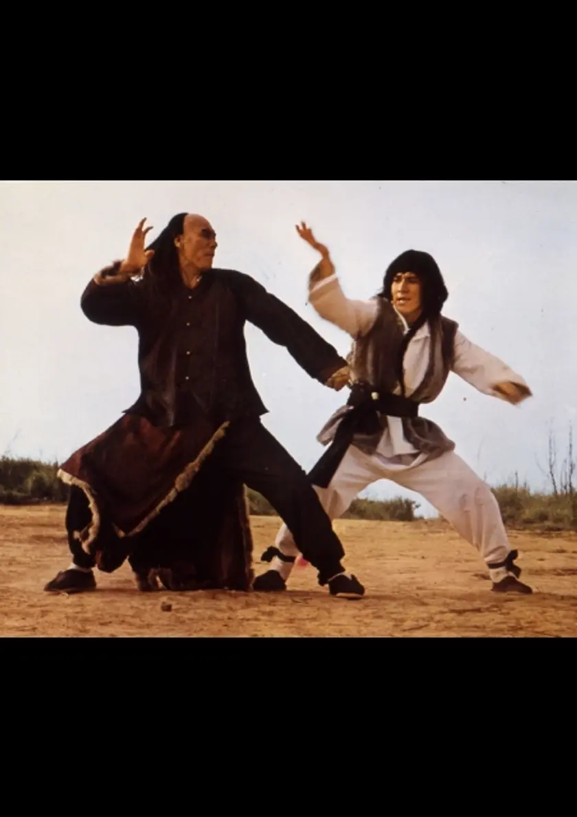 蛇鶴八拳 ポスター