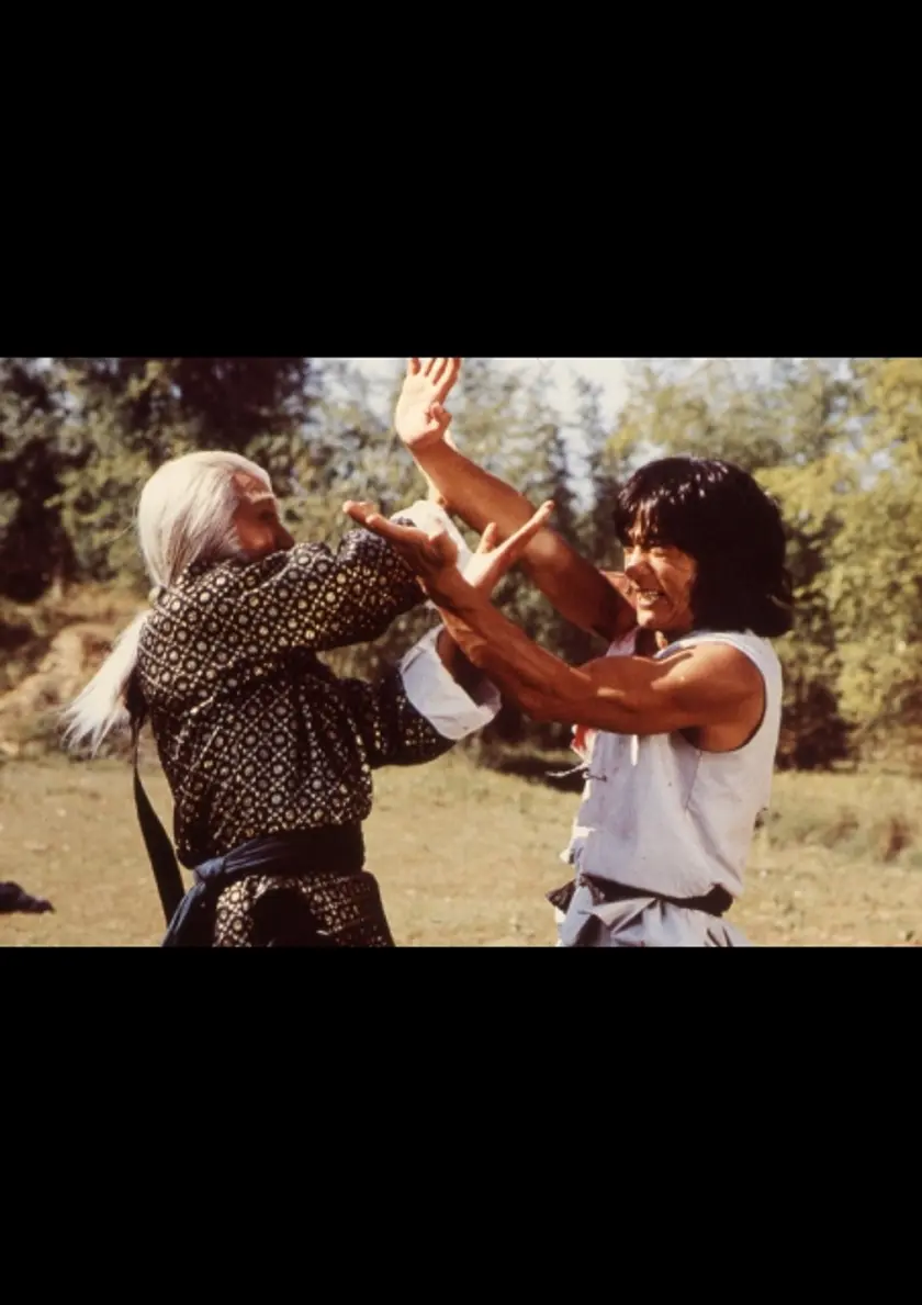 クレージー・モンキー 笑拳 ポスター