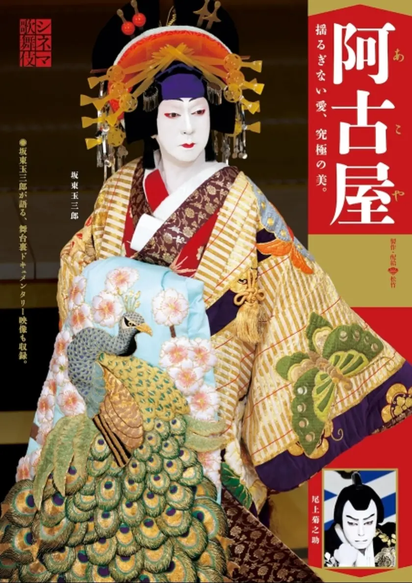 シネマ歌舞伎　阿古屋 ポスター