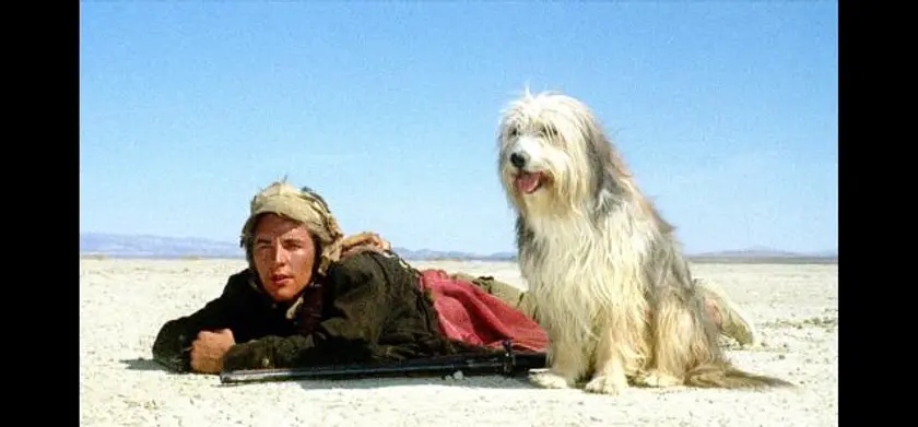 少年と犬（1975） 場面写真 1