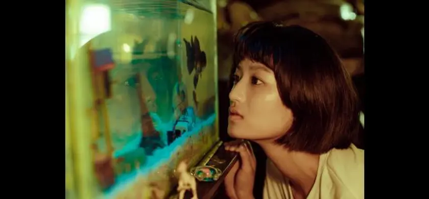 金魚の記憶 場面写真 1