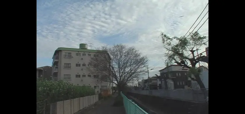伊丹 2009年初夏―晩秋 場面写真 1