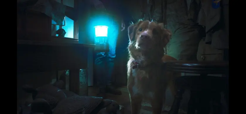 GOOD BOY／グッド・ボーイ 場面写真 1