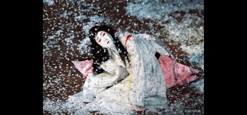 シネマ歌舞伎 鷺娘／日高川入相花王 場面写真 1