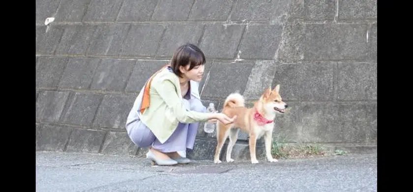 犬、回転して、逃げる 場面写真 2