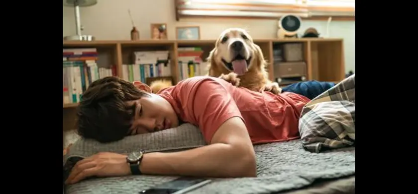 マイ・ハート・パピー 場面写真 2