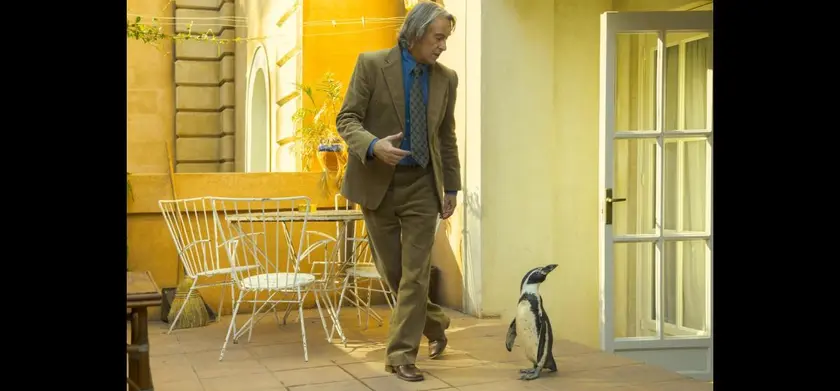 ペンギン・レッスン 場面写真 2