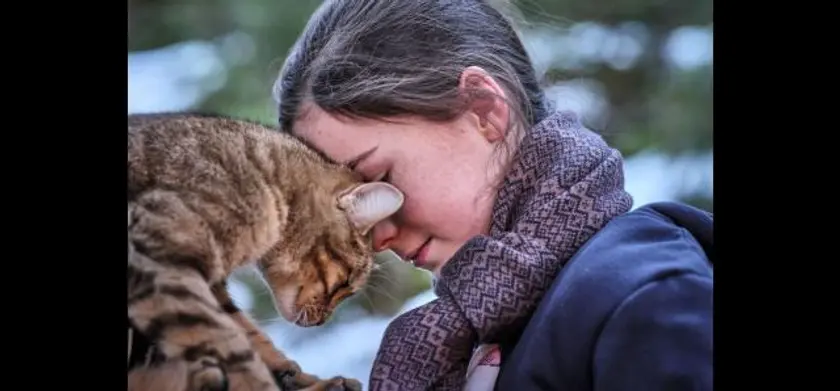 ルー、パリで生まれた猫 場面写真 3