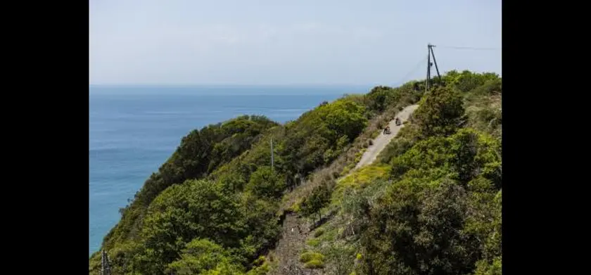 輝け星くず 場面写真 3