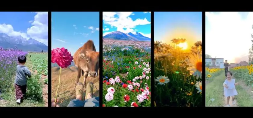 THIS IS LIFE スマホから見る中国人の人生 場面写真 3