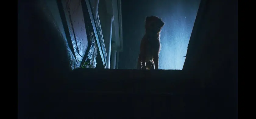 GOOD BOY／グッド・ボーイ 場面写真 3