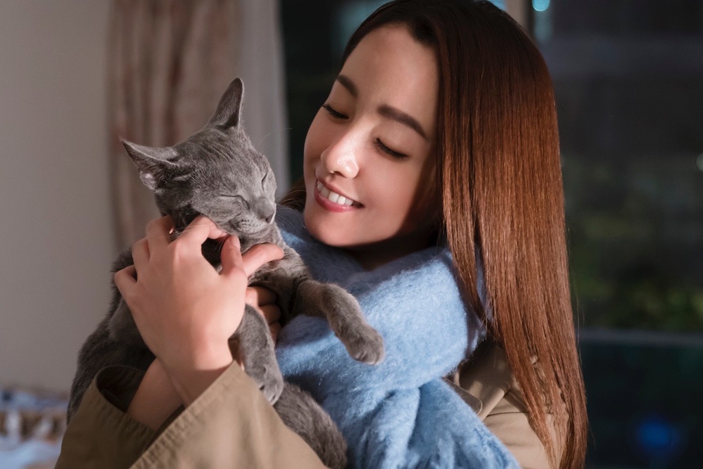 沢尻エリカ『猫は抱くもの』予告、吉沢亮が「僕は…猫だね」と涙