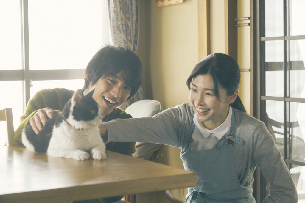 『旅猫リポート』新たに竹内結子の出演発表、福士蒼汰との初共演に「とても穏やかで居心地が良かった」