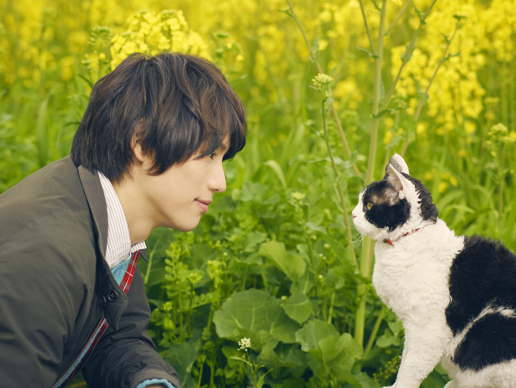 福士蒼汰『旅猫リポート』、第22回ファンタジア国際映画祭にてワールドプレミア上映が決定