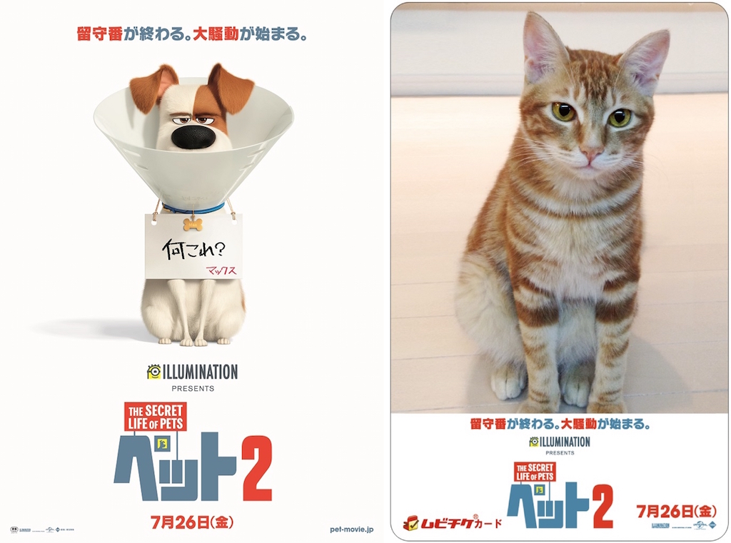 『ペット2』公開日決定、愛するペットの写真がデザインになるムビチケカードも登場