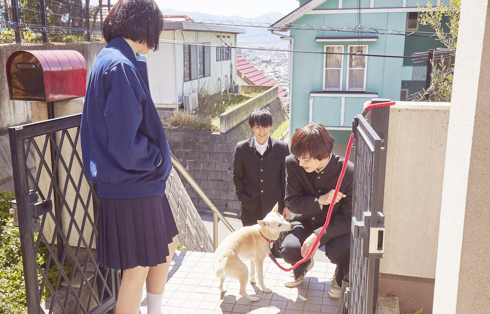 兄弟妹役の北村匠海、小松菜奈、吉沢亮が愛犬を愛でる『さくら』場面写真